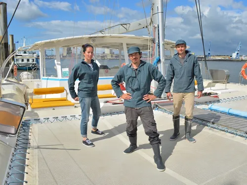 Les navettes à voile démarrent jeudi dans le Golfe du Morbihan